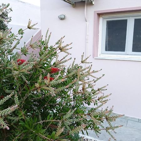 Andros Lighthouse Apartments Mesaria (Andros) Exterior foto