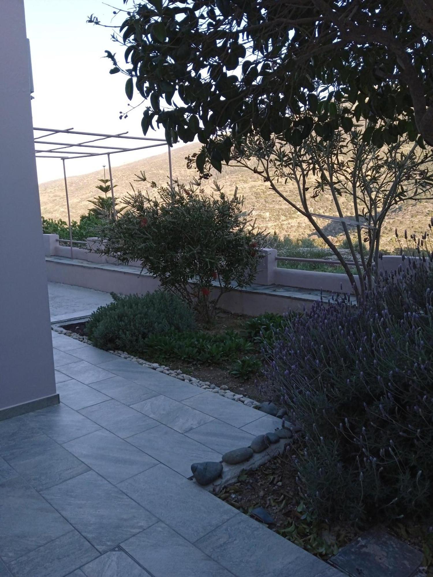 Andros Lighthouse Apartments Mesaria (Andros) Exterior foto
