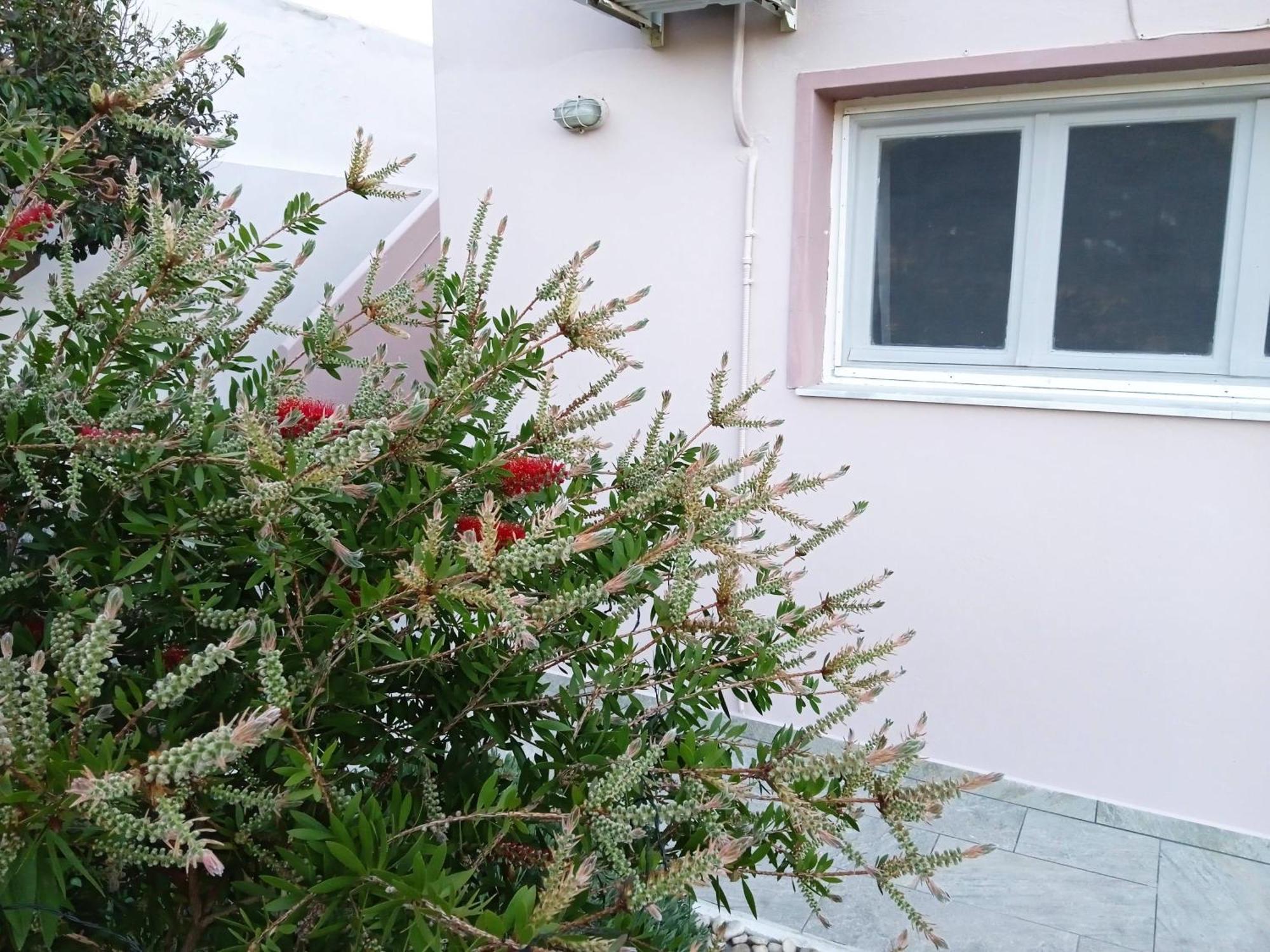 Andros Lighthouse Apartments Mesaria (Andros) Exterior foto
